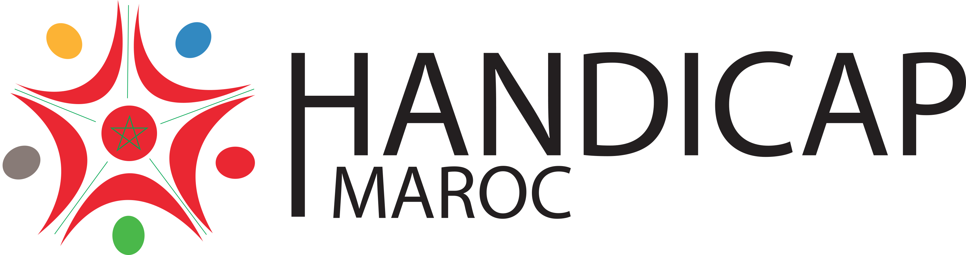 Handicap Maroc